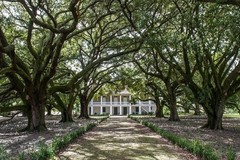Create Listing: Whitney Museum Plantation - 5.5hrs
